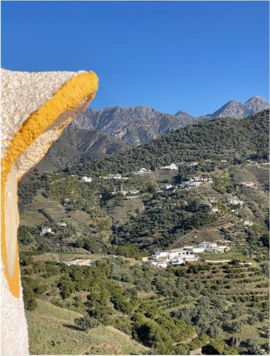 Hotel Rural Los Caracoles Frigiliana Exterior foto